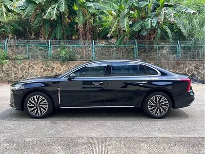 2025 Hongqi H5 2.0T Automatic Flag Celebration 500,000 Units Anniversary Edition, фото 3, лот 10768400