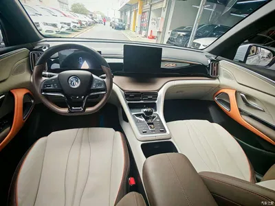 2022 BYD Song Pro New Energy DM-i 51km Luxury, фото 4, лот 10273901