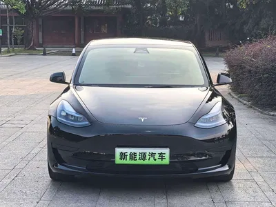 2022 Tesla Model 3 Model Rear-Wheel Drive Version, фото 2, лот 11219764