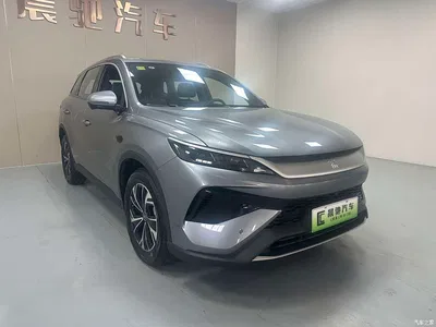 2025 BYD Song Pro New Energy 2nd Generation Smart Drive Edition DM-i 115KM Surpassing Type, фото 3, лот 11204373