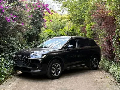2024 Lincoln Adventurer 2.0T FWD Exclusive Edition, фото 1, лот 10357665