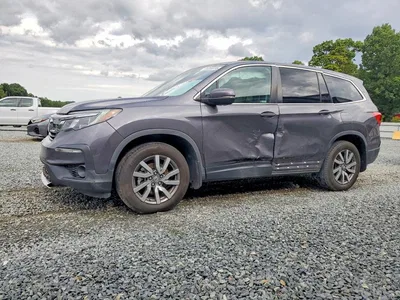 2019 HONDA PILOT EXL, фото 1, лот 10652608