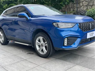 2020 WEY VV5 1.5T 2WD Style Pioneer, фото 3, лот 10452030