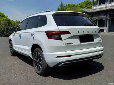 2023 Škoda Karoq TSI280 Premium Edition, фото 4, лот 10348993