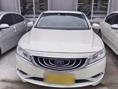 2016 Geely Borui 2.4L Comfort Edition, фото 4, лот 10357963