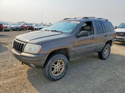 1999 JEEP CHEROKEE LIMITED, фото 1, лот 10976807