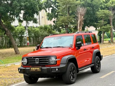 2024 Tank 300 Model 2.0T Challenger, фото 1, лот 10344425