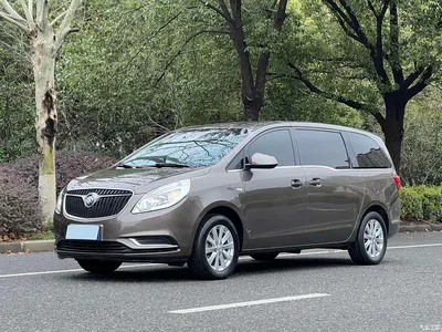 2017 Buick GL8 25S Comfort China V, фото 1, лот 10254015