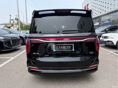 2024 Hongqi HQ9 PHEV Model 2.0T AWD Business Edition, фото 4, лот 10285545