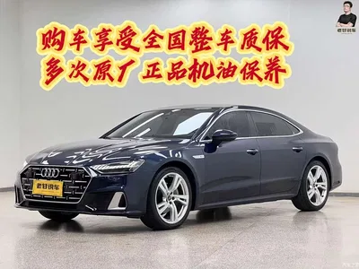 2022 Audi A7L 45 TFSI S-line Future Dream Edition, фото 1, лот 11174547