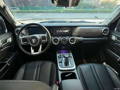 2021 Tank 300 Off-road Version 2.0T Conqueror, фото 4, лот 10344546