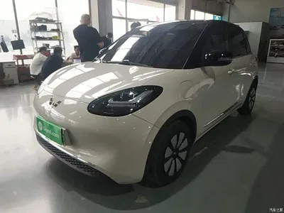 2024 Wuling Motors Wuling Bingo 333km Comfort Edition, фото 2, лот 10368098