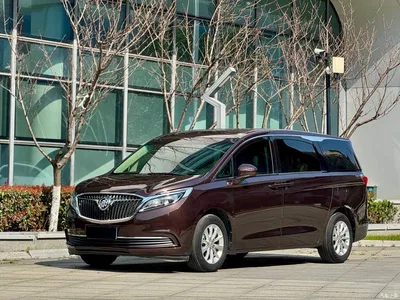 2017 Buick GL8 ES 28T Comfort Type China V, фото 1, лот 10256954