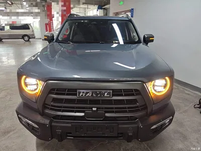 2022 Haval Big Dog Model 2.0T DCT AWD Howling Celestial Dog Hunting Edition, фото 3, лот 10672026