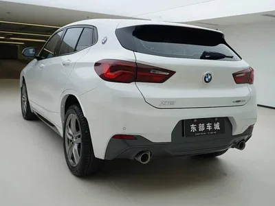 2021 BMW X2 sDrive25i Leading M Sport Package, фото 4, лот 10449055