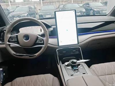 2025 BYD Tang New Energy DM-i 115KM Prestige Type, фото 2, лот 11089497