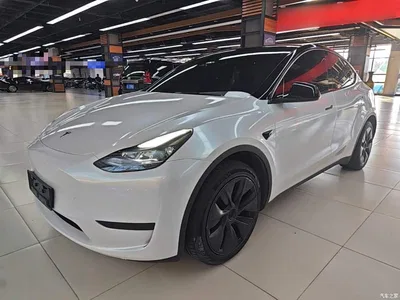 2023 Tesla Model Y Rear-Wheel Drive Edition, фото 2, лот 11408084