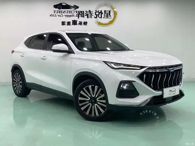 2021 Changan Oshan Changan Oushang X5 1.5T DCT Luxury, фото 3, лот 11163510