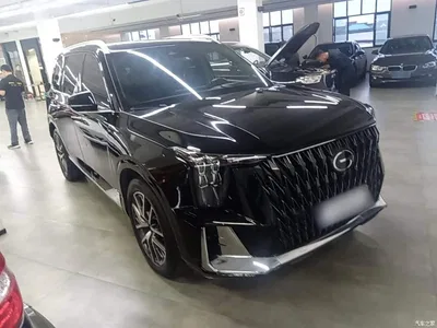 2022 GAC Trumpchi Trumpchi GS8 Dual Engine Series 2.0TM 2WD Premium Edition (7-Seater), фото 4, лот 11205505