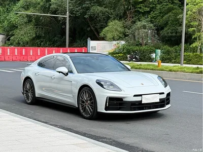 2024 Porsche Panamera 2.9T, фото 3, лот 10401540