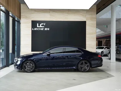 2021 Mercedes-Benz CLS Facelift CLS 300 Luxury, фото 3, лот 10299755