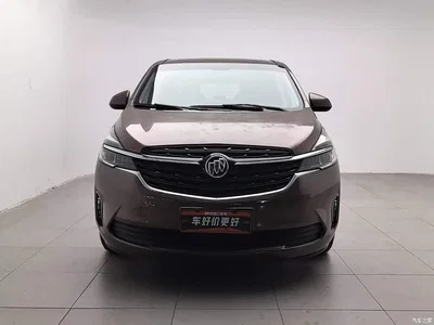 2021 Buick GL8 Land Business Class 652T Luxury, фото 3, лот 11499397