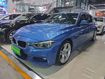 2017 BMW 3 Series 320Li M Sport, фото 1, лот 10457442