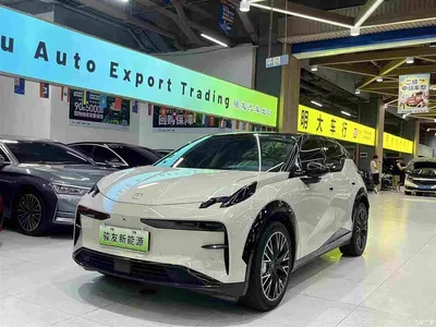 2023 ZEEKR X RWD YOU Edition 4-seater, фото 1, лот 10291353