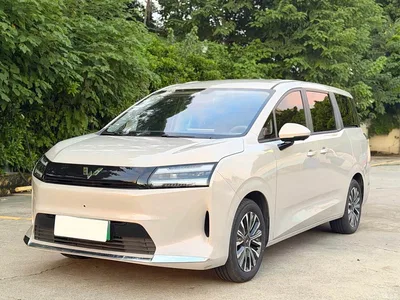 2025 Wuling Motors Xingguang 730 New Energy Model Pure Electric Base Version, фото 1, лот 11171142