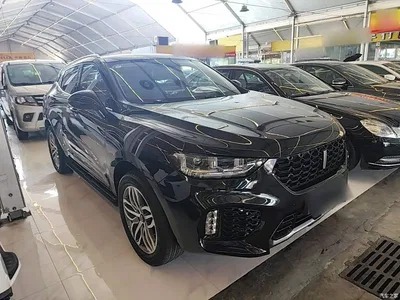 2019 WEY VV5 Upgrade 2.0T 2WD Ultra Luxury China V, фото 4, лот 11188061