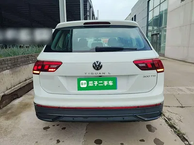 2024 Volkswagen Tiguan L Outstanding 300TSI Auto 2WD Dragon Soaring Edition, фото 4, лот 10462468
