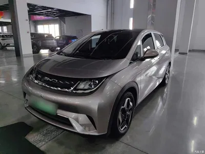 2021 BYD Dolphin Model 405km Fashion Edition, фото 2, лот 10264713