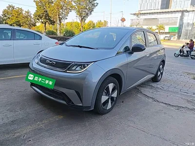 2023 BYD Dolphin 420km Freedom Edition, фото 1, лот 10259457