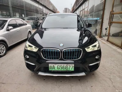 2019 BMW X1 New Energy xDrive25Le Range Upgrade Edition, фото 2, лот 10475358