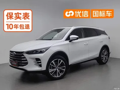2020 BYD Tang New Energy DM 2.0T Dual-Motor AWD Premium 7-Seater China VI, фото 1, лот 10273218