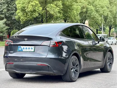 2024 Tesla Model Y Rear-Wheel Drive Version, фото 4, лот 11089645