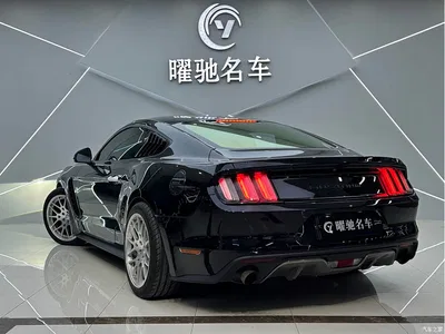 2015 Ford Mustang 2.3T Performance Edition, фото 4, лот 10279732