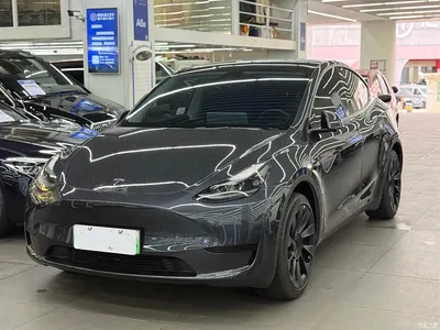 2024 Tesla Model Y Rear-Wheel Drive Version, фото 1, лот 10448774