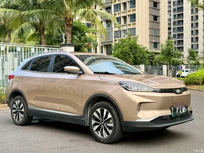 2018 Weltmeister EX5 400 Extra Innovation Edition, фото 3, лот 10450260