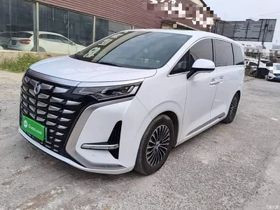 2024 Denza D9 DM-i 980 AWD Prestige, фото 1, лот 10390204