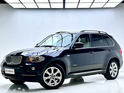 2009 BMW X5 (Import) xDrive48i Luxury, фото 1, лот 10463903