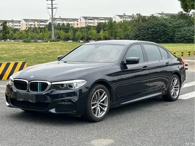 2019 BMW 5 Series 525Li M Sport Package, фото 1, лот 11139054