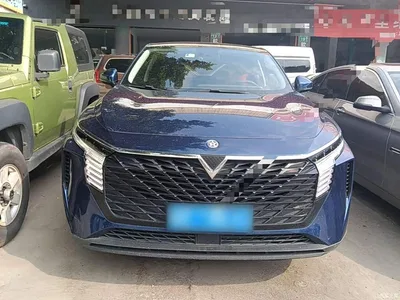 2021 Venucia Big V 260T Idol Edition, фото 3, лот 11151790