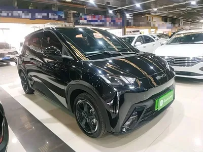 2023 BYD Seagull Flying Edition, фото 4, лот 10385754