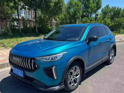 2022 Haval Chitu Power Edition 1.5T Purple Copper Rabbit, фото 1, лот 11018016