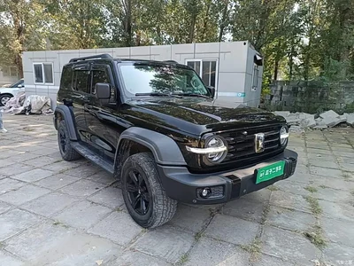 2021 Tank 300 Off-road Version 2.0T Conqueror, фото 4, лот 10680046