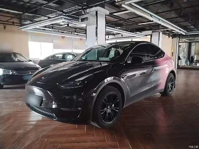2023 Tesla Model Y Long Range All-Wheel Drive Edition, фото 1, лот 10370424