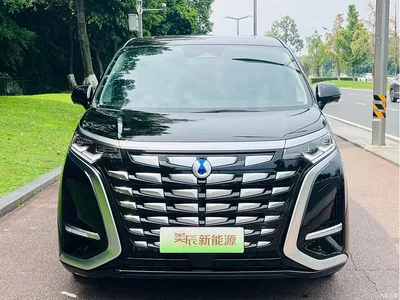 2024 Denza D9 DM-i 1050 Premium, фото 2, лот 10345670