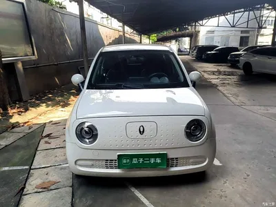 2021 Ora Black Cat 301km Pet Edition, фото 2, лот 11114075