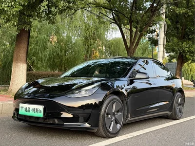 2022 Tesla Model 3 Model Rear-Wheel Drive Version, фото 1, лот 10354751